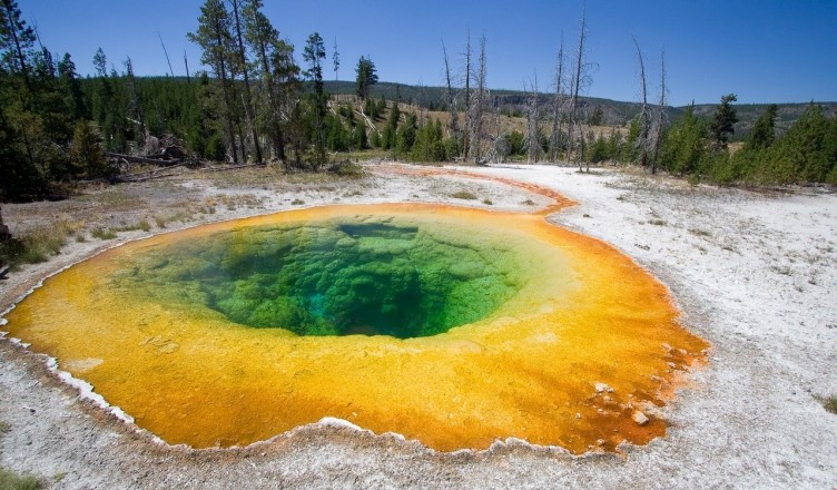 yellowstone national park
