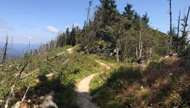 mt Mitchell state park